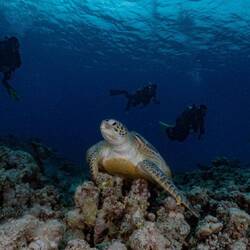Schildi mit eus im Hintergrund