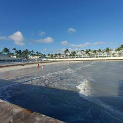 Zu kalt zum Schwimmen.