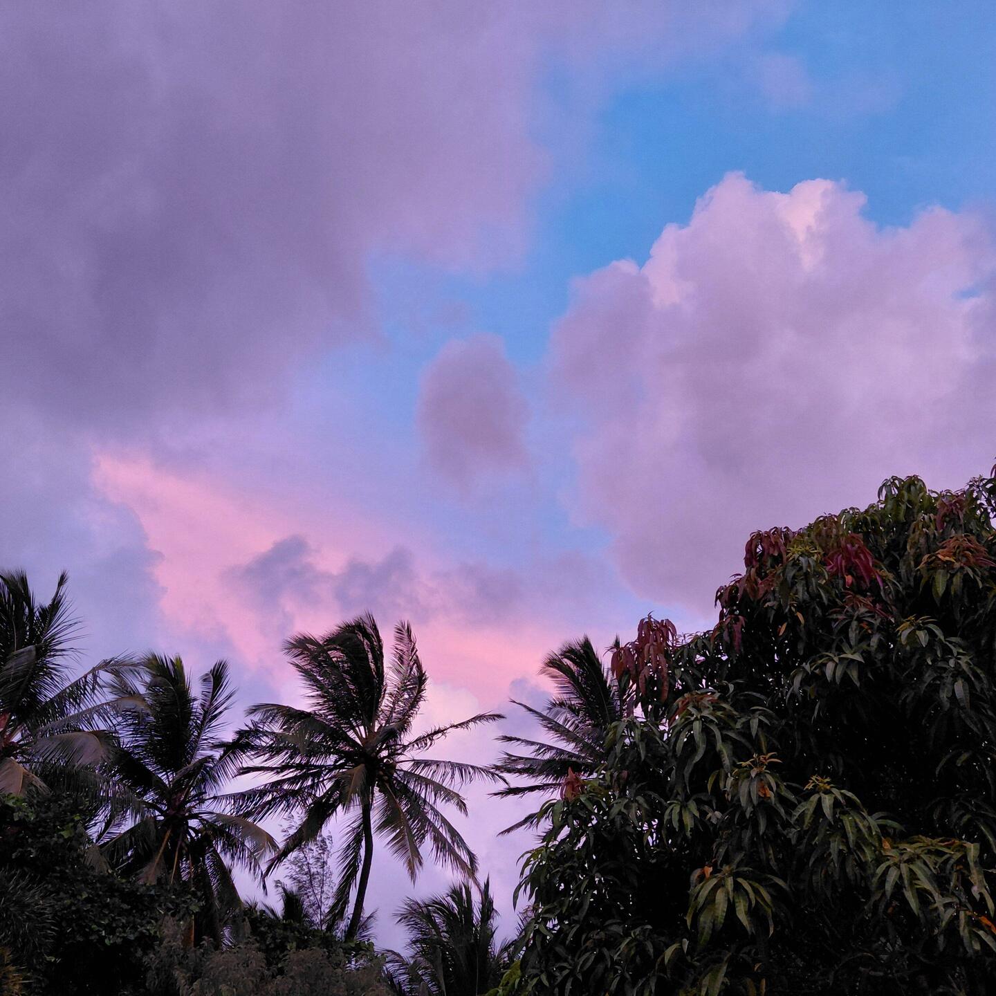 Sunset from the balcony at our Whitfield retreat