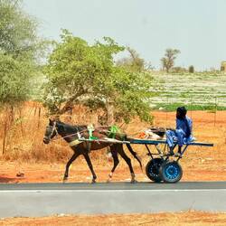 ein paar Leute sind doch noch unterwegs