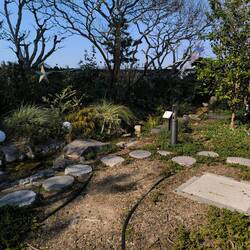 Invluye mini mini arroyo