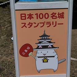 Super mona la mascota del castillo