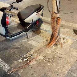 Tolle Installation der Straßenlaternen 🤣😂