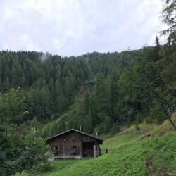Maier-Kaser