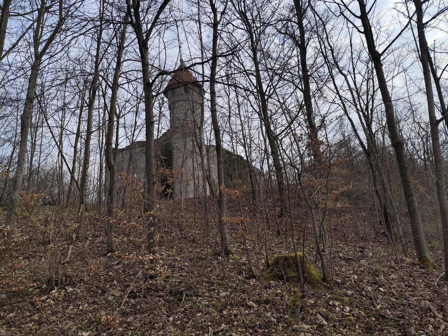 Burgruine Haineck