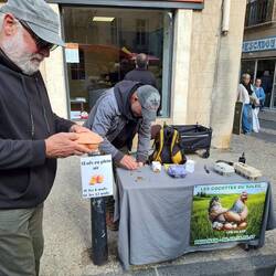 Ministand, wir kaufen 6 frische Eier 🥚