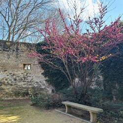Abschied aus der Altstadt von Pézenas