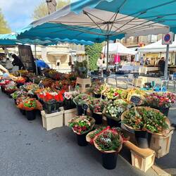 Großes Angebot an Blumen 💐 (ziemlich teuer, die Sträuße)