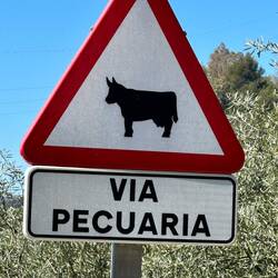 The GR 142 includes the route for moving livestock from the coast to summer mountain pastures.