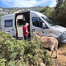 Ob's hier wohl was zum abstauben gibt ... 🤣