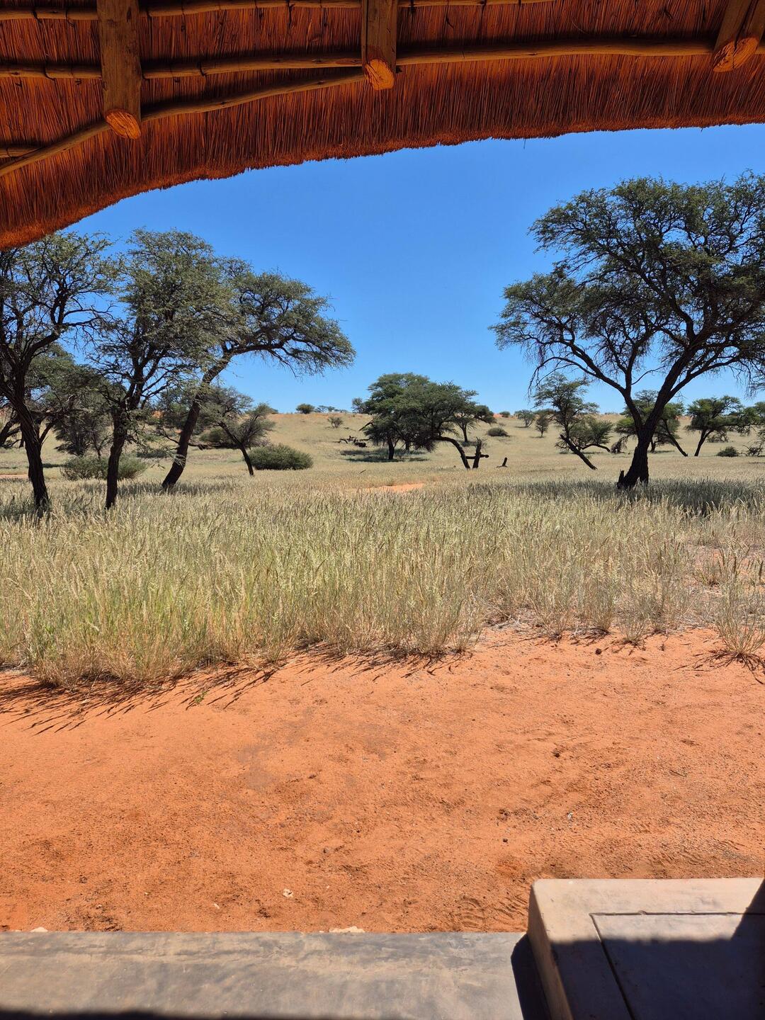 Aussicht von der Zimmerterrasse