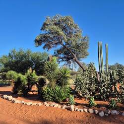 Pfiadi Kalahari - bis zum nächsten Mal! 😇