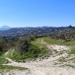Il était une fois, les vignes du Puy de Dôme