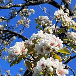 Y'a pas à dire, c'est le printemps !