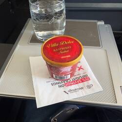 Raspberry sorbet to end the meal.