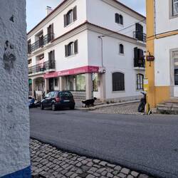 Schöne Hümpeler 🐶😍