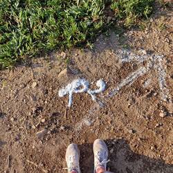 Die portugisischi Art zum Wanderwäge markiere = Schnitzujagd. Äuä isches nume provisorisch.