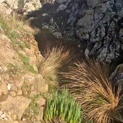 hie bini eewigs ghöcklet und ha am Wasser zuegluegt