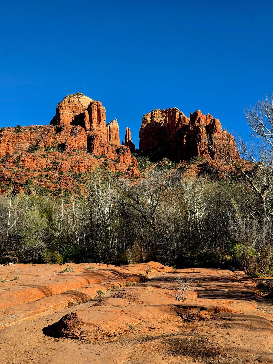 Our first hike on a gorgeous morning