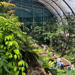 Schnetterlingsgarten in Airport