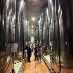 Olive oil storage