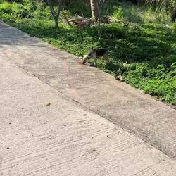 Hab Hundefutter gekauft 😌😌