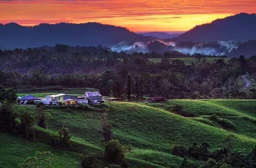 Misty mountains of Atherton Tablelands