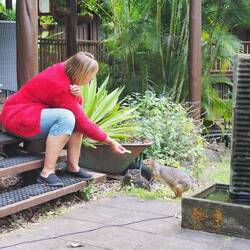 Which we got to hand feed