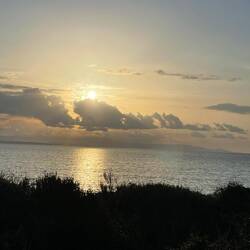 ..und auch Musik mit unserer JBL-Box ist für heute kein Problem🍀🤩