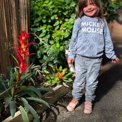 Disney's Blumenkönigin.