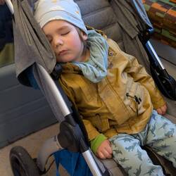 Ein eindrucksvoller Tag macht schläfrig.