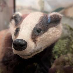 BADGER! Der Dax steht heute nicht gut.