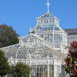 Wer im Glashaus sitzt, ist ein Elefant.