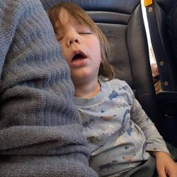 ... und schon weggepennt 🤣