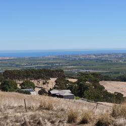 Blick über die McLaren Vale Weinregion, Reben bis zum Meer