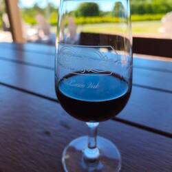 Shiraz 2021 im Glas
