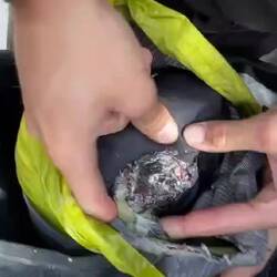 The luggage is wet - freshly extinguished.