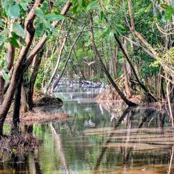 Zufällig auf der Highway aus dem Augenwinkel heraus gesehen