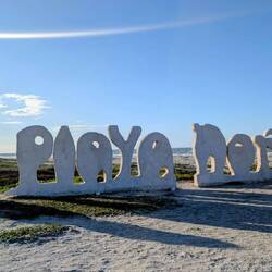 Ein ewig langer Strand, viele kleine Muscheln und der der Wind blast heftig