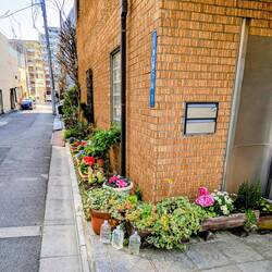 Die gefüllten Plastikwasserflaschen sollen Streunerkatzen vertreiben. Ob das hilft?