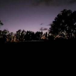 Dafür brummt was anderes.