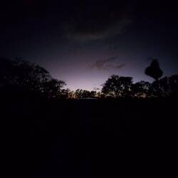 Nachtstimmung und tatsächlich keine Moskitos da.