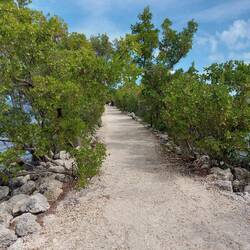 Der Weg, links und rechts Meer.