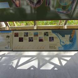 Flamingo ist in diesem Fall der CP.