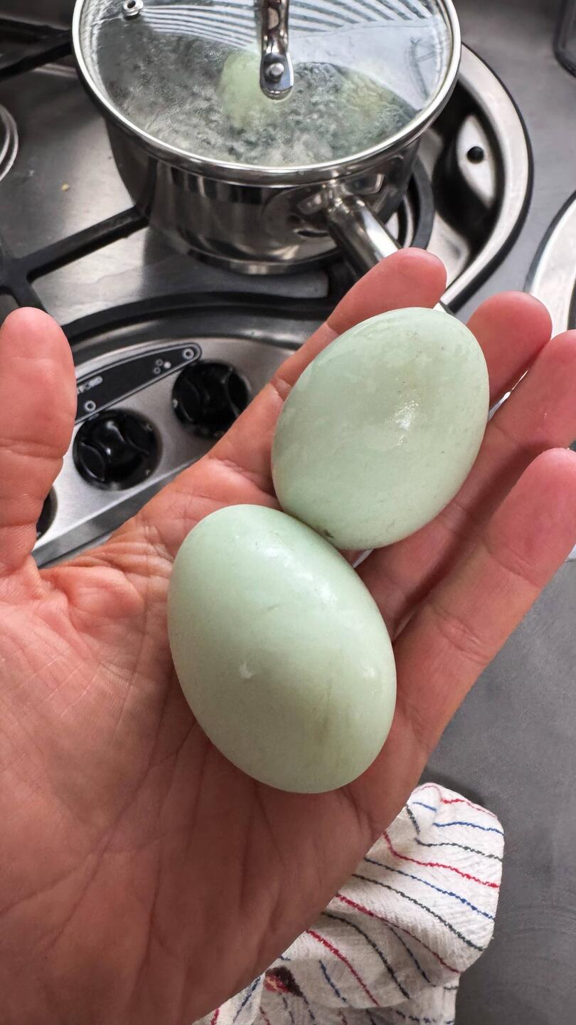 Grüner Eier vom Markt 😍