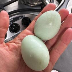 Grüner Eier vom Markt 😍