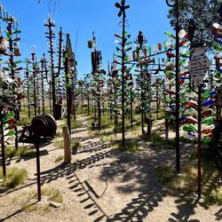 Bottle Ranch
