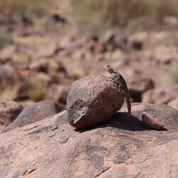 Bissl sonnen bei 39 Grad