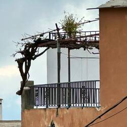 ...vs. our balcony here in Cañar (the high one on the white building)
