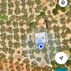 ....nestled in an olive orchard...